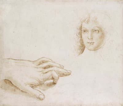 Fej és kéz tanulmányozása (toll és ecset világosbarna tintával fémhegyen fehér papíron) alkotó: Pietro (circle of) Perugino