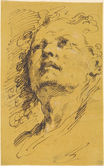 Felnéző férfi feje alkotó: Pietro Antonio Novelli