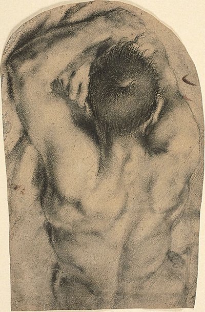 Félhosszú fekvő férfiakt hátulról nézve, 1590 körül (szén, olajfesték és ólomfehér nyomok, papír) alkotó: Pietro Faccini