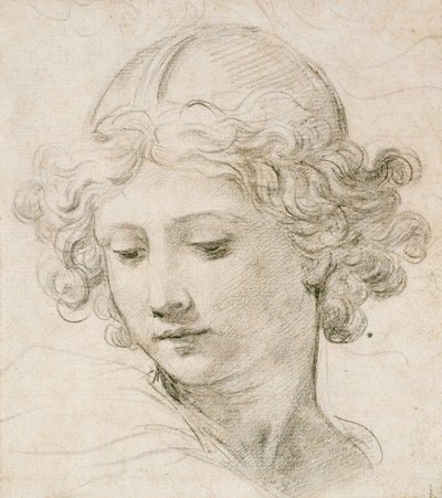 Egy angyal feje, balra néz alkotó: Pietro da Cortona
