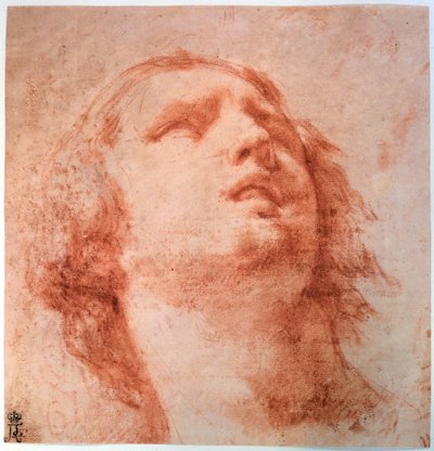 Fejtanulmány egy nőről, aki felnéz, 17. század alkotó: Pietro da Cortona