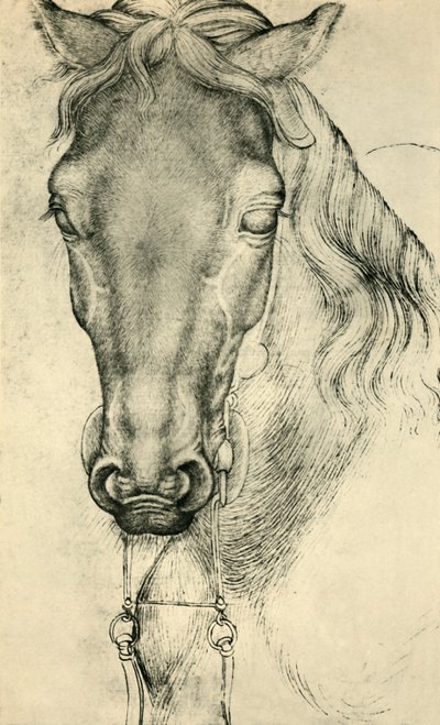 Egy ló feje, c1420-1455, 1943. alkotó: Antonio Pisanello