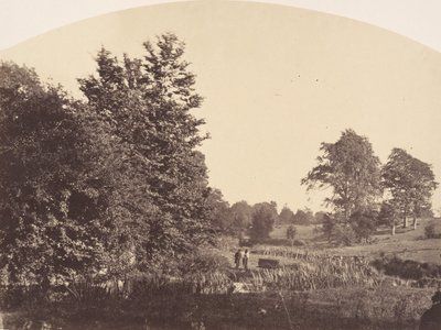 The Woodland Stream, 1856. alkotó: Plunket