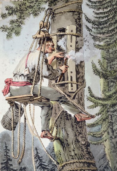 Mézgyűjtő lengyelországi Podlaskie tartomány parasztja, 19. század eleje (színes litho) alkotó: Polish School