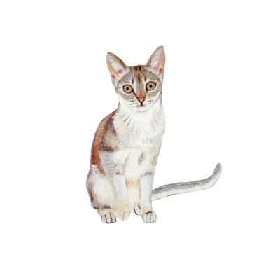 Singapura, 2014 (akvarell és gouache, papír) alkotó: Polly Horner