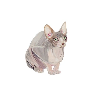 Szfinx, 2014 (akvarell és gouache, papír) alkotó: Polly Horner