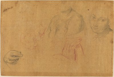 Vázlatok a fejekről és a kezekről alkotó: Pompeo Batoni