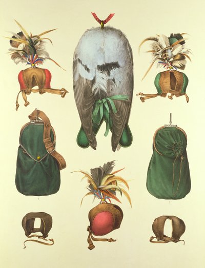 A sólyomászathoz szükséges felszerelés, H. Schlegel és A.H. Verster de Wulverhorst "Traite de Fauconnerie" című művéből, 1844-53. alkotó: Portman and Van Wouw