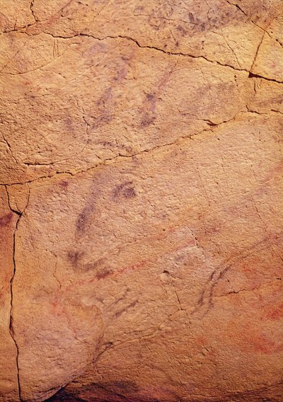 Egy kis szarvas feje az altamirai barlangokból, ie 15000-8000 körül (barlangfestés) alkotó: Prehistoric