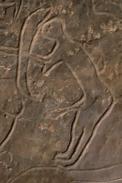 Emberalak és bikafej (sziklafaragás) alkotó: Prehistoric