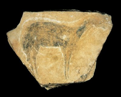 Fekete őzike, Parpallo-barlang, Spanyolország, Felső paleolitikum (festmény) alkotó: Prehistoric Prehistoric