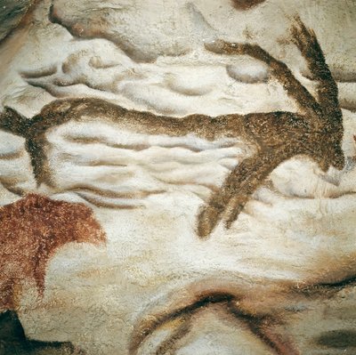 Cervid sziklafestés, Cave de Lascaux, Dordogne, Franciaország, Felső paleolitikum (Magdalén) c. 13000 évvel ezelőtt (festmény) alkotó: Prehistoric Prehistoric