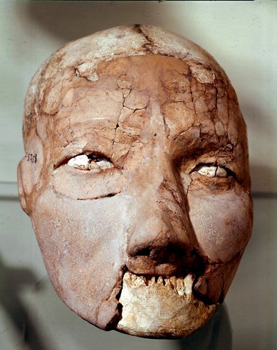 Neolitikus művészet: emberi koponya a kőkorszakból (i.e. 6000-4000). Jerikóból, Régészeti Múzeum, Amman, Jordánia alkotó: Prehistoric Prehistoric