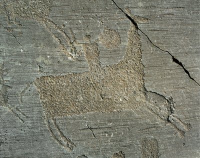 Őstörténet, kamunni civilizáció, sziklaművészet: pajzsos, lóháton ülő harcost ábrázoló sírkő. A neolitikum és a bronzkor közötti időszak. Capo di Ponte, Naquane Rock Carvings Nemzeti Park, Valcamonica, Val Camonica, Olaszország alkotó: Prehistoric Prehistoric