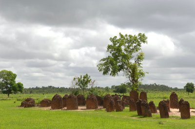 Őstörténet: Megalitikus kőkör Wassuból, Gambia (fotó) alkotó: Prehistoric Prehistoric