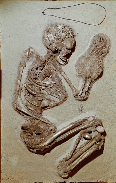 Őstörténet: női csontváz a felső neolitikumból származik. Chiozza kultúrája. Kr.e. 2900-2700. Reggio Emilia, Polgári Múzeumok, Chierici Múzeum, Olaszország alkotó: Prehistoric Prehistoric
