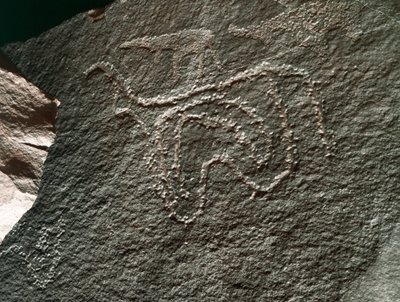 Őstörténet, sziklaművészet: a szarvasmarha ábrázolásának komoly sziklája. Tazina stílus. Kőkorszak Kr.e. 5000-2000. Taghit, Haut plateau du Hoggar (Ahaggar), Algéria alkotó: Prehistoric Prehistoric