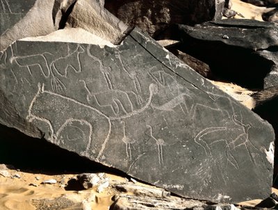 Őstörténet, sziklaművészet: oroszlánokat, antilopokat, struccot és szarvasmarhát ábrázoló sírkő. Kőkorszak Kr.e. 5000-2000. Taghit, Haut Platau du Hoggar, Algéria alkotó: Prehistoric Prehistoric