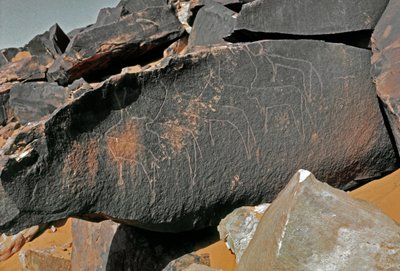 Őstörténet, sziklaművészet: szarvasmarha-ábrázolás sírkőzete. Tazina stílus. Kőkorszak Kr.e. 5000-2000. Taghit, Haut plateau du Hoggar (Ahaggar), Algéria alkotó: Prehistoric Prehistoric