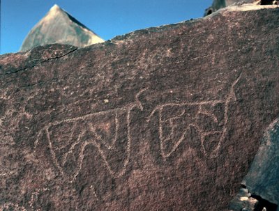 Őstörténet, sziklaművészet: szarvasmarha-ábrázolás sírkőzete. Tazina stílus. Kőkorszak Kr.e. 5000-2000. Taghit, Haut plateau du Hoggar (Ahaggar), Algéria alkotó: Prehistoric Prehistoric
