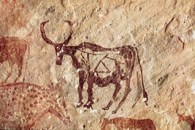 Sziklafestés: szarvasfélék ábrázolása. Tadrart Acacus barlangja, Líbia alkotó: Prehistoric Prehistoric