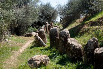 Cromlech M Zora régészeti lelőhelye, Sidi El Yamaniban (Marokkó). Neolitikus temetkezési halom (Kr. e. 2000), 167 monolittal körülvéve. alkotó: Prehistoric Prehistoric