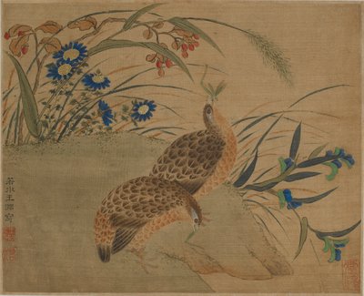 Két fürj eszik szöcskét a virágok alatt alkotó: Qing Dynasty Chinese School