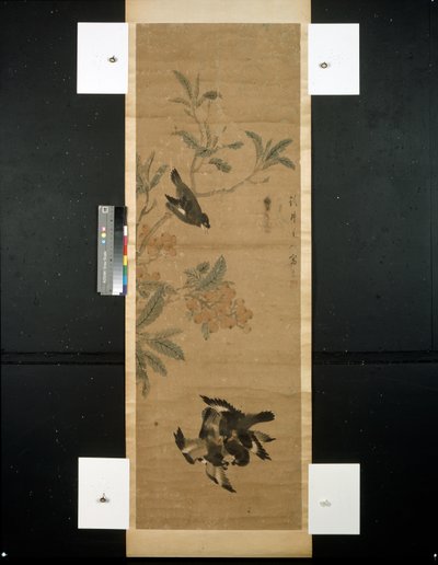 Madarak és ágak alkotó: Qing Dynasty Chinese School