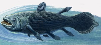 Coelacanth alkotó: R.B. Davis