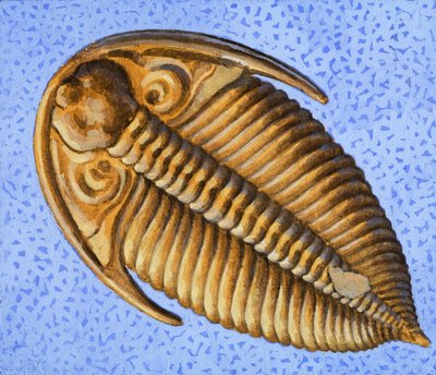 Fossil alkotó: R.B. Davis