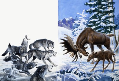 A természet királysága: Az éhhalálhoz vezető útjukat megették alkotó: R.B. Davis