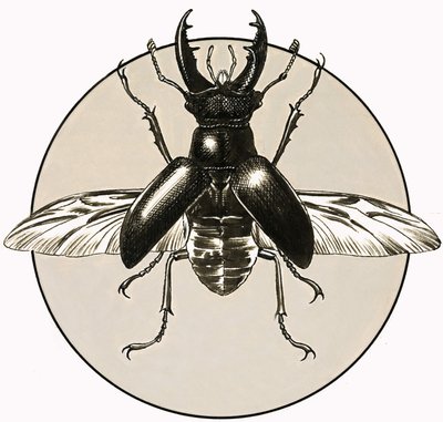 A szarvasbogár alkotó: R.B. Davis