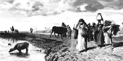 Egy Chaussee a deltában, az árvíz idején, 1880-ban alkotó: R. Brandamour