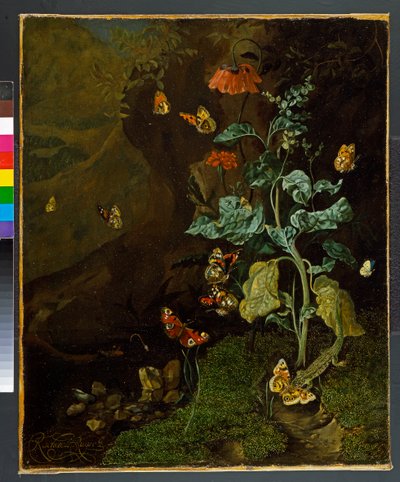 Csendélet virágokkal, pillangókkal és gyíkkal a dellben, 1750 előtt alkotó: Rachel Ruysch