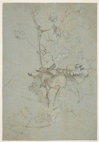 Növénytanulmány alkotó: Rachel Ruysch