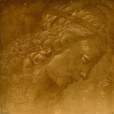 Tanulmányozás angyalfejen alkotó: Raffaellino del Garbo