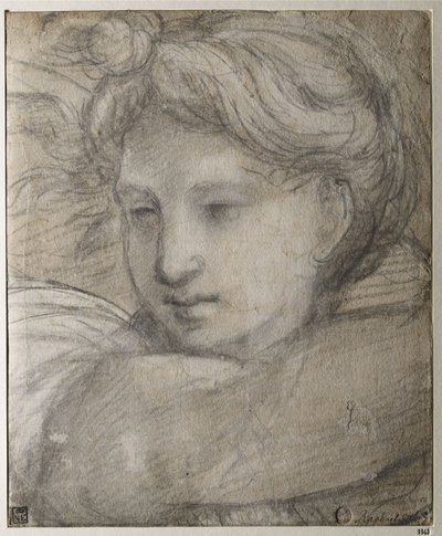 Angyal feje, c. 1520 alkotó: Raffaello Sanzio Raphael