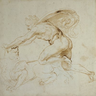 Herkules legyőz egy oroszlánt (toll és barna tinta fehér papírra) alkotó: Raffaello Sanzio Raphael