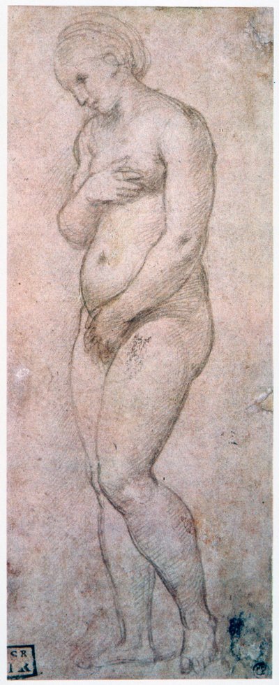Vénusz tanulmányozása, 1500-1520 alkotó: Raffaello Sanzio Raphael