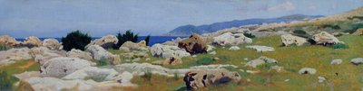 Castiglioncello a Punta del Bocca felől, 1864 körül (olaj, vászon) alkotó: Raffaello Sernesi