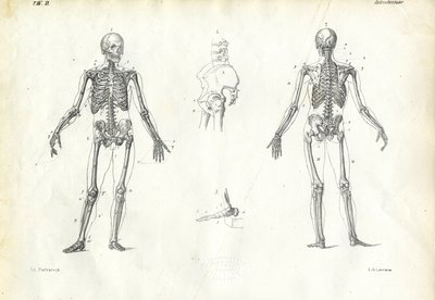 Emberi lény, 1863-79 alkotó: Raimundo Petraroja