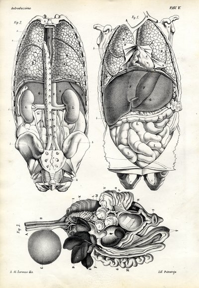 Belek, 1863-79 alkotó: Raimundo Petraroja