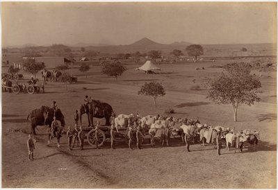 Nehéz tábori üteg, Jhansi alkotó: Raja Deen Dayal