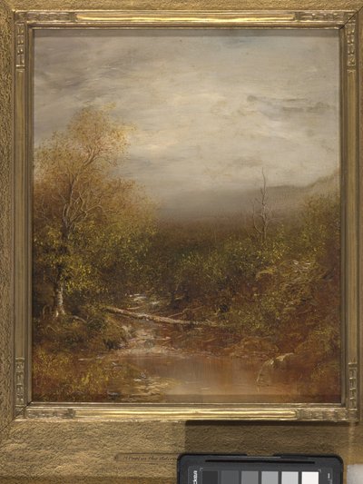 Pool In The Adirondacks (olaj, vászon) alkotó: Ralph Albert Blakelock