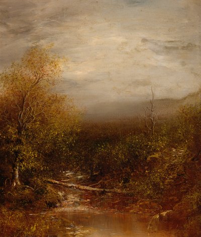 Medence az Adirondacks-ben alkotó: Ralph Albert Blakelock