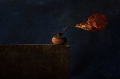  alkotó: Ramiz Sahin