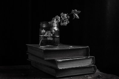 alkotó: Ramiz Sahin