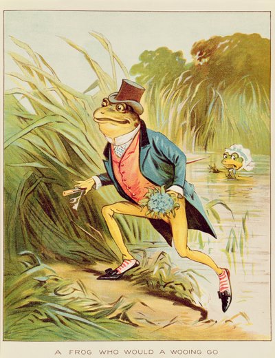 Illusztráció az "A Frog He Will A-Wooing Go" című filmből alkotó: Randolph Caldecott