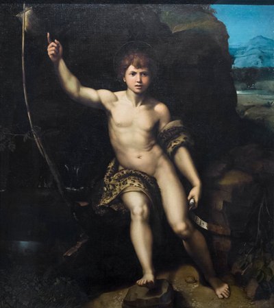 Keresztelő Szent János alkotó: Raphael (1483-1520) (& studio)