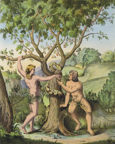 Éva bemutatja Ádámnak az almát a Jó és Rossz Tudásának fájáról (színes litó) alkotó: after Raphael
